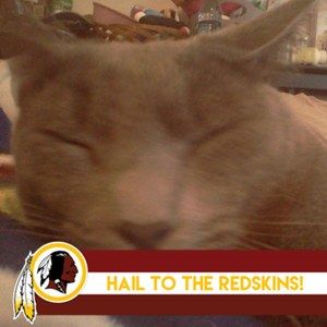 Meet your Posher, Lillie